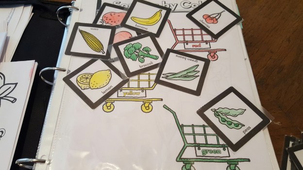 wp-1459715661636 image